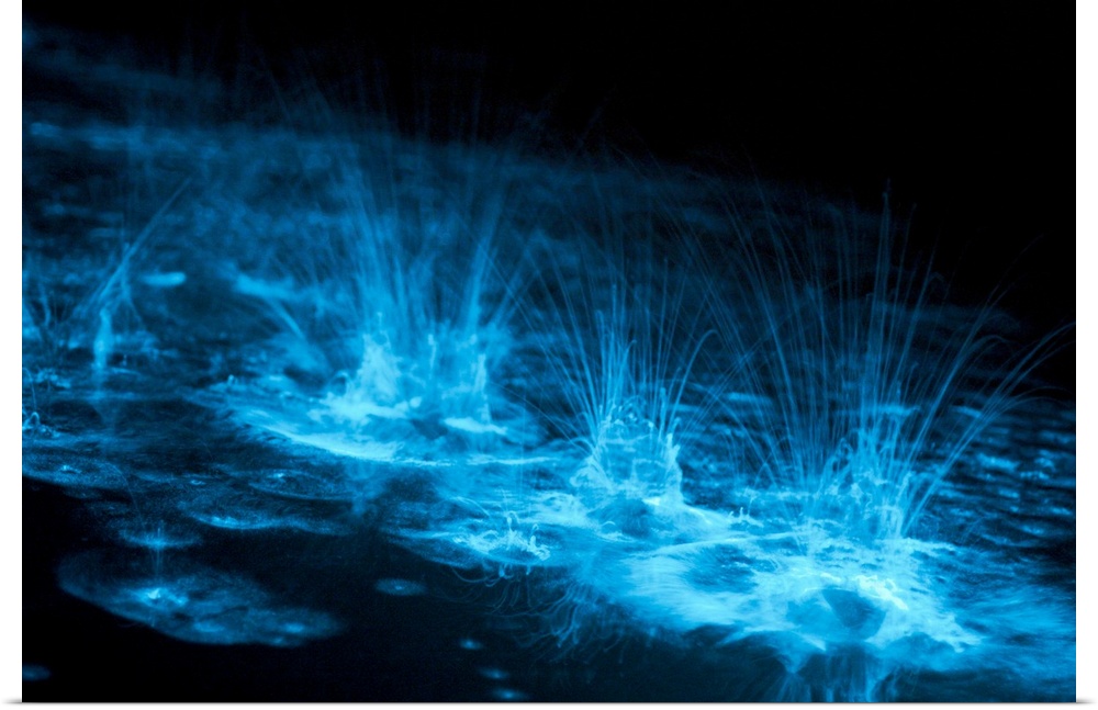 Photograph of water drops creating splashes on the surface of a lake seen through neon light.