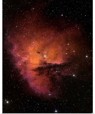 Bok Globules in NGC 281