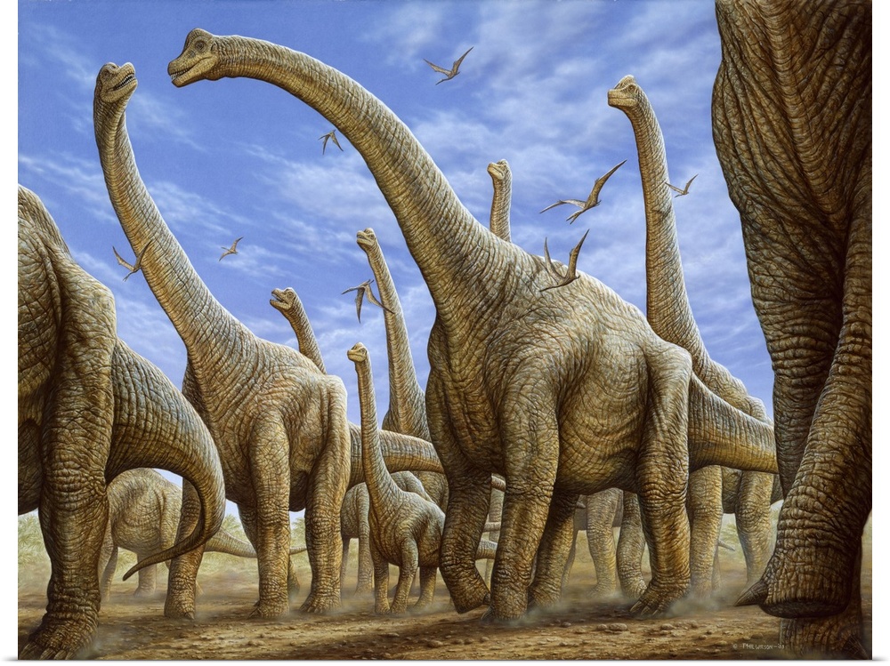 Brachiosaurus herd on the move.