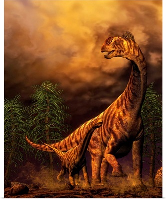 Camarasaurus adult and offspring