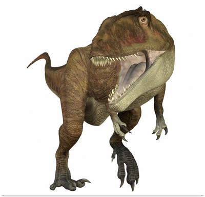 Carcharodontosaurus dinosaur roaring