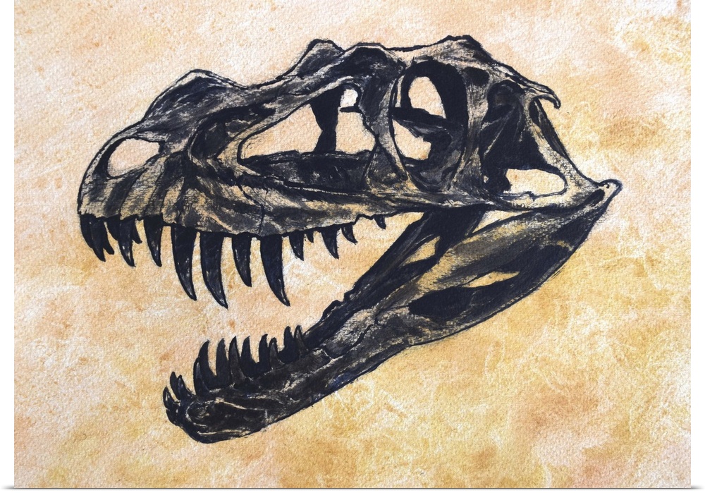 Ceratosaurus dinosaur skull on textured background.