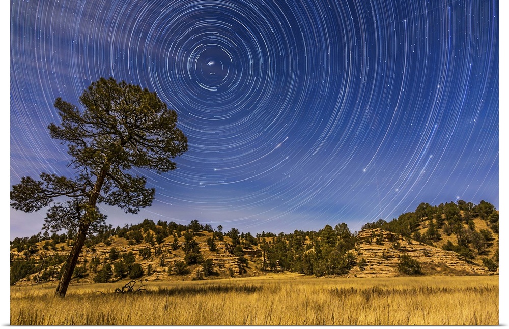 Circumpolar star trails over the moonlit Mimbres Valley near Lake Roberts in the Gila National Forest, in southwest New Me...
