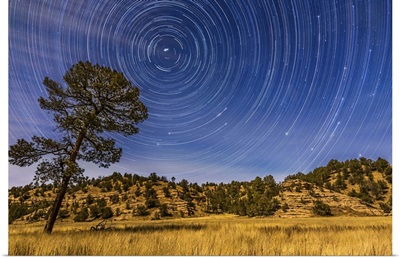 Circumpolar star trails over Mimbres Valley in the Gila National Forest, New Mexico