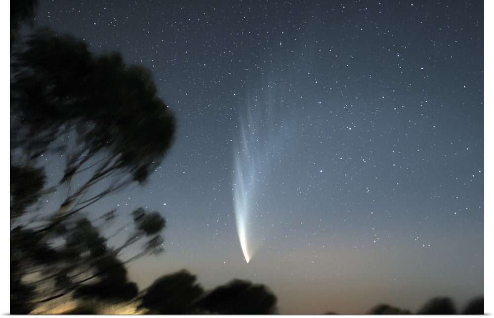 Comet McNaught P1 in the sky over Victoria, Australia.