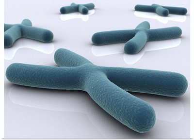 Conceptual image of chromosome