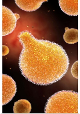 Conceptual image of plasmodium causing malaria