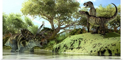 Confrontation between two Tyrannosaurus Rex and a Coahuilaceratops
