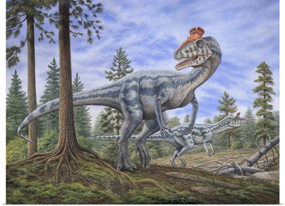 Cryolophosaurus Dinosaurs Hunting For Prey In A Prehistoric Environment