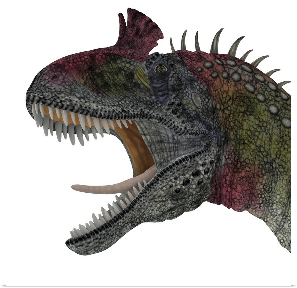 Cryolophosaurus portrait. Cryolophosaurus was a theropod dinosaur that lived in Antarctica during the Jurassic Period.