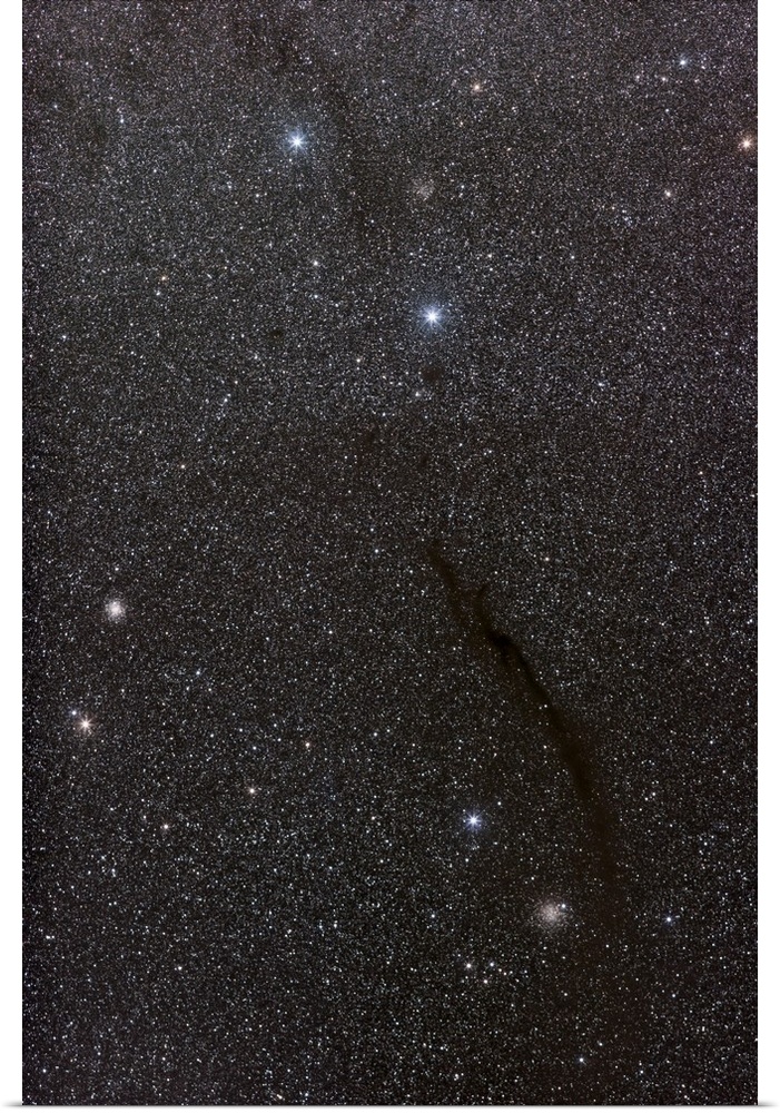 Dark Doodad Nebula in the southern constellation Musca.