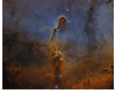 Detailed View Of IC 1396, The Elephant Trunk Nebula