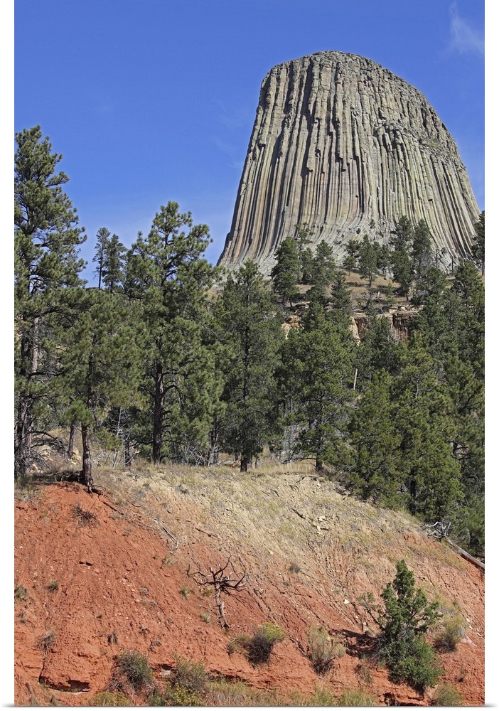September 15, 2009 - Devils Tower, a monolithic igneous intrusion or laccolith made of columns of phonolite porphyry, Wyom...