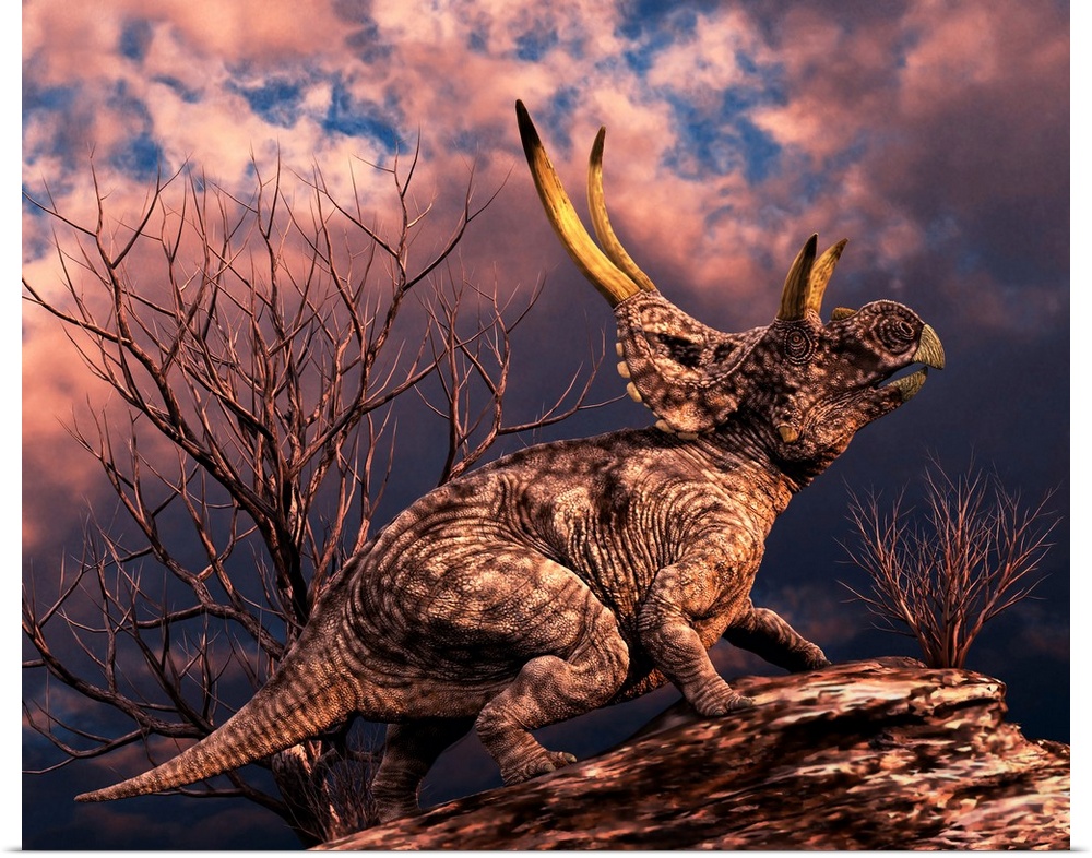 Diabloceratops was a ceratopsian dinosaur from the Cretaceous Period.