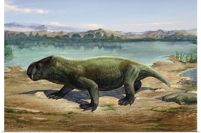 Dicynodon trautscholdi, a prehistoric animal from the Paleozoic Era