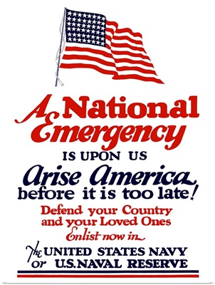 Digitally restored vector war propaganda poster.  A national emergency is upon us