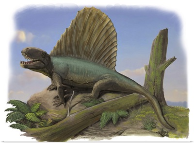 Dimetrodon limbatus, a prehistoric animal
