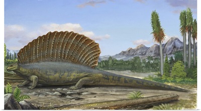 Edaphosaurus pogonias, a prehistoric animal from the Paleozoic Era