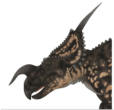 Einiosaurus portrait