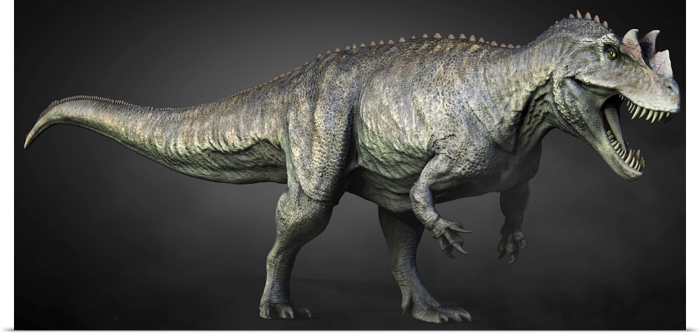 Full length view of a Ceratosaurus dinosaur.