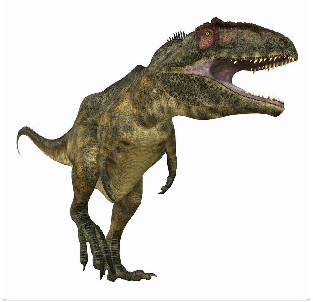 Giganotosaurus was a carnivorous theropod dinosaur that lived in Argentina during the Cretaceous Period.