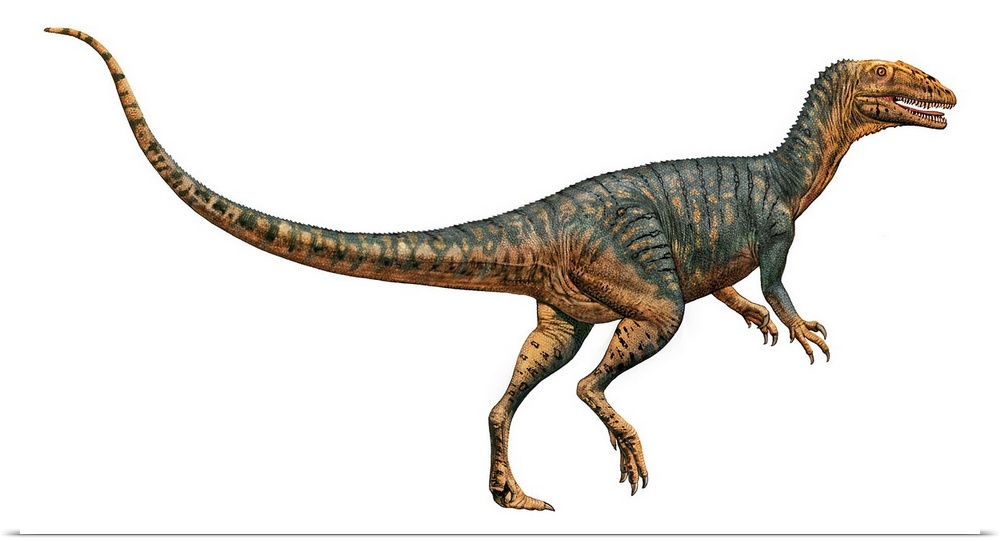 Gojirasaurus dinosaur.