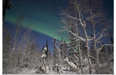 Green Aurora at Prelude Lake Yellowknife Northwest Territories Canada