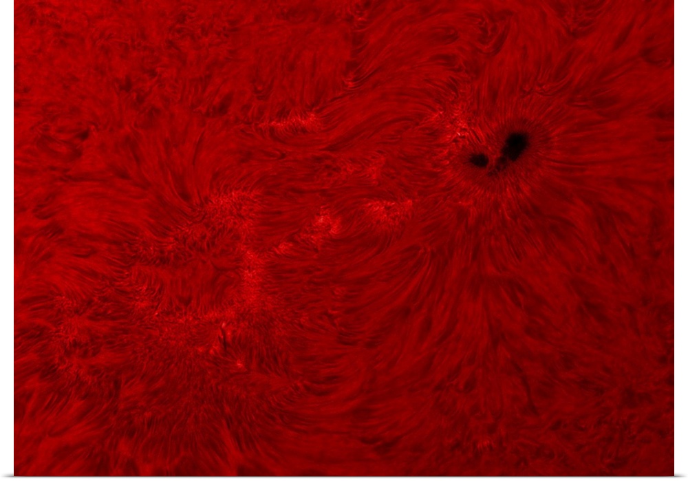 H-alpha Sun in red with sunspot.