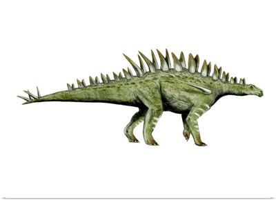 Huayangosaurus dinosaur