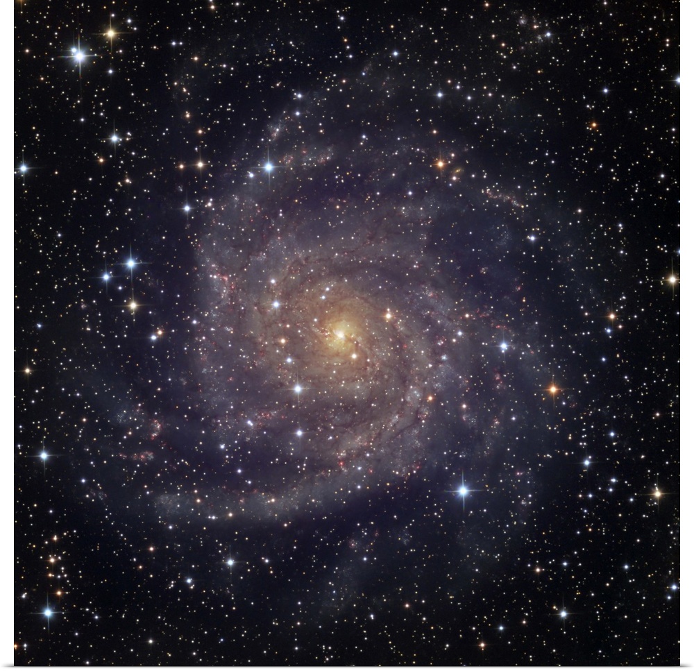 IC 342 an intermediate spiral galaxy in the constellation Camelopardalis