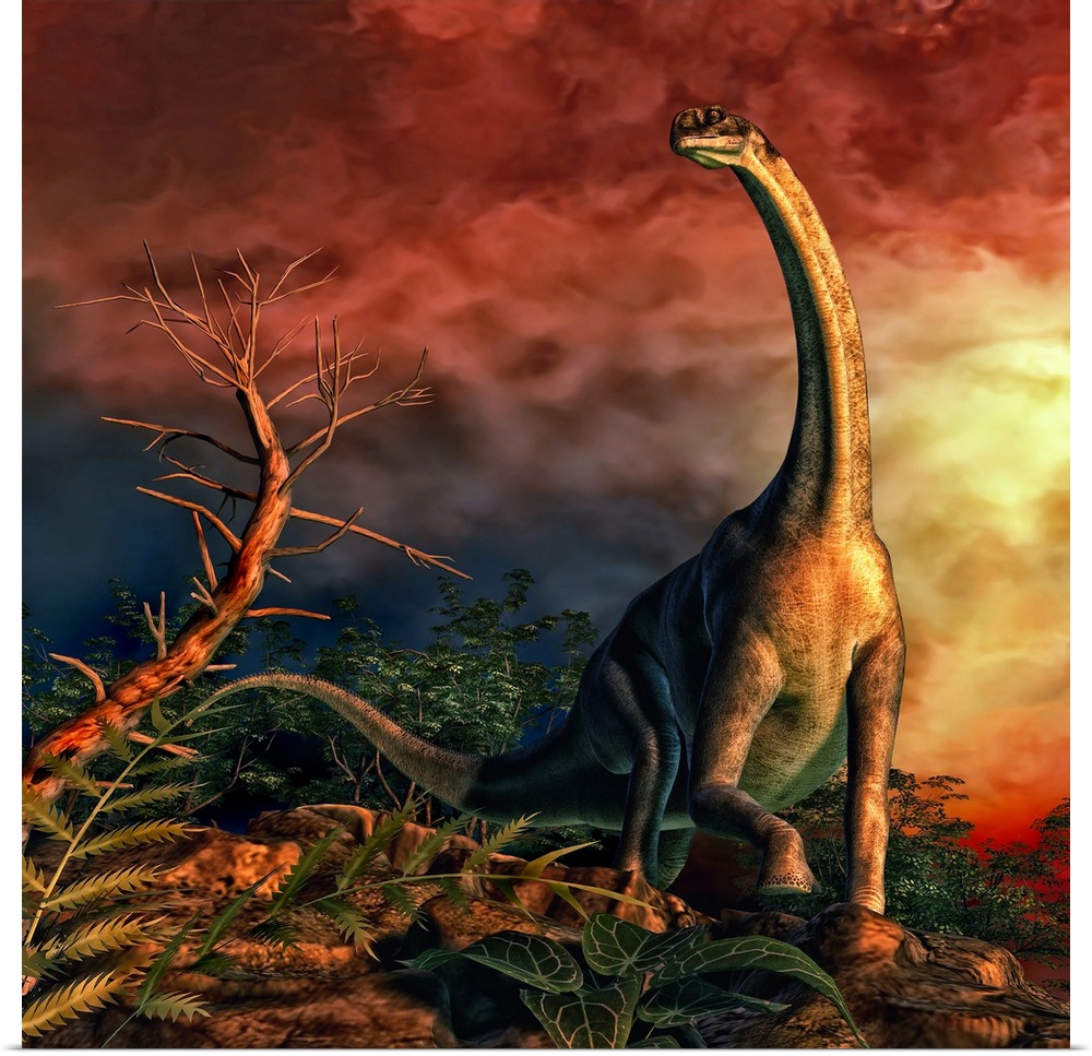 Jobaria was a sauropod dinosaur that lived during the middle Jurassic Period.