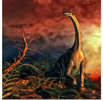 Jobaria was a sauropod dinosaur that lived during the middle Jurassic Period