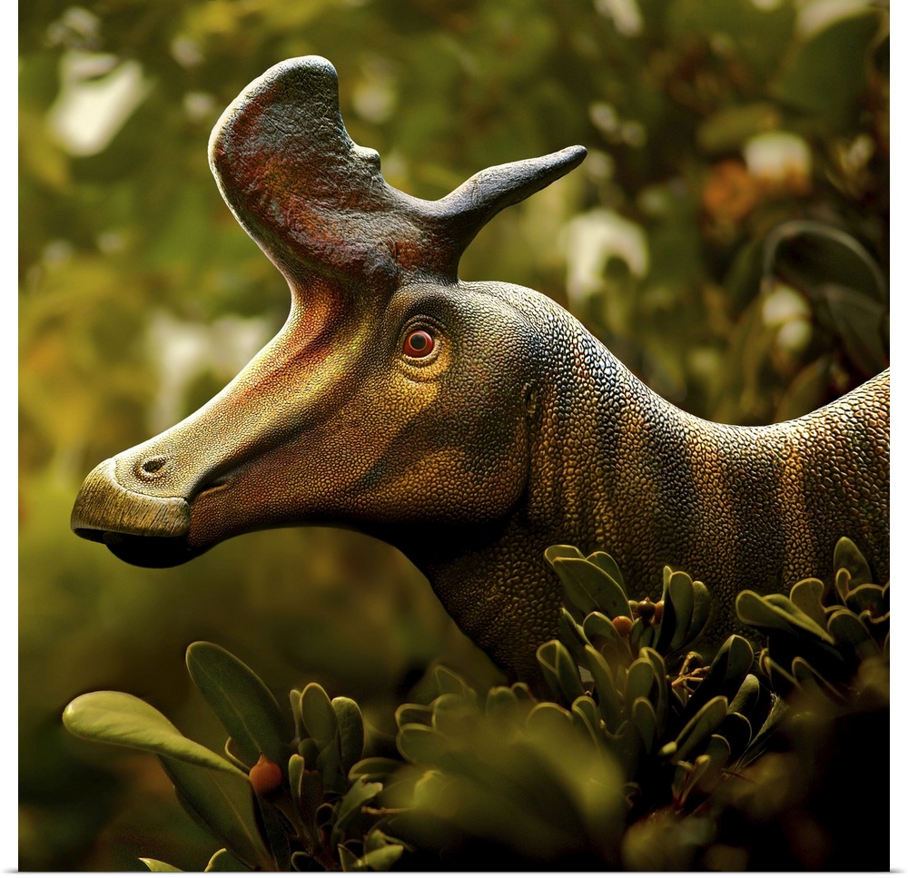Lambeosaurus, a genus of hadrosaurid dinosaur that lived about 75 million years ago, in the Late Cretaceous period of Nort...