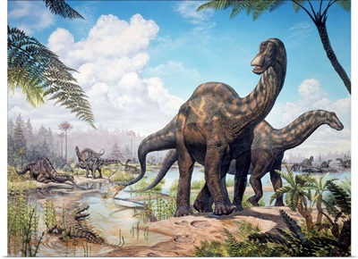Large Dicraeosaurus sauropods from the Late Cretaceous of Africa.
