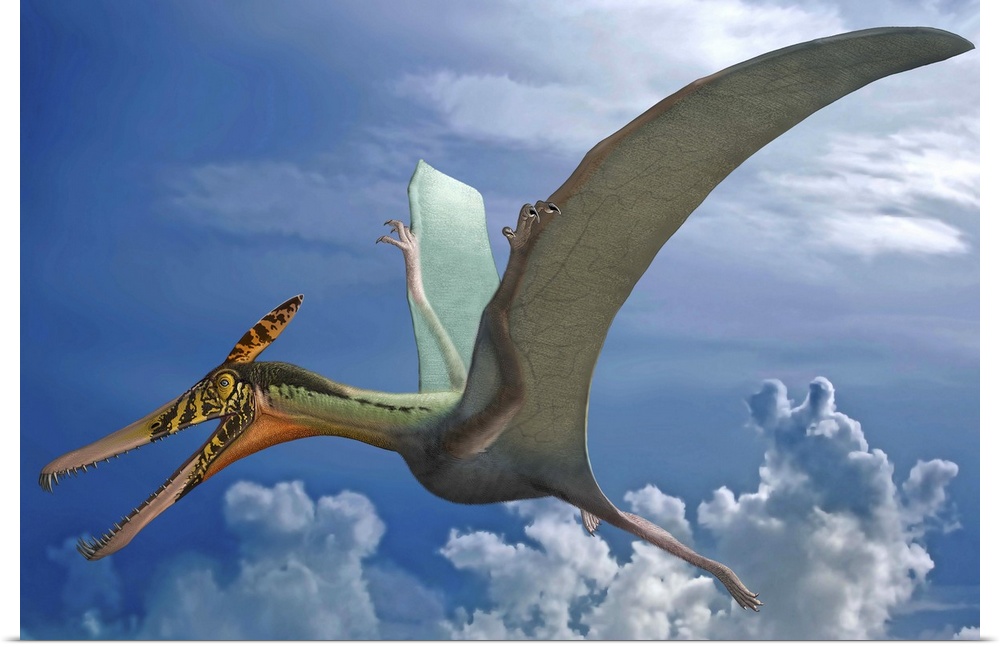 Ludodactylus sibbicki, a pterosaur from the Lower Cretaceous Crato Formation of Brazil.