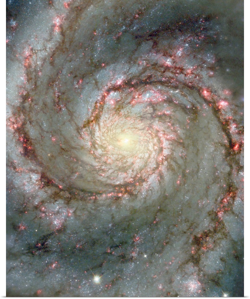 Space photograph of a spiral galaxy, circling counter-clockwise and trailing its arms full of stars.