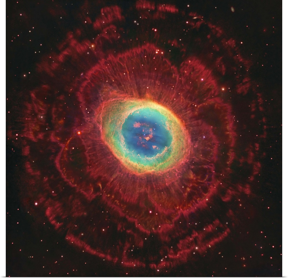 M57, The Ring Nebula. The inner shell glows green from ionized oxygen and nitrogen while hydrogen in the outer shell glows...