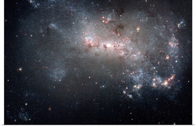 Magellanic dwarf irregular galaxy NGC 4449 in the constellation Canes Venatici