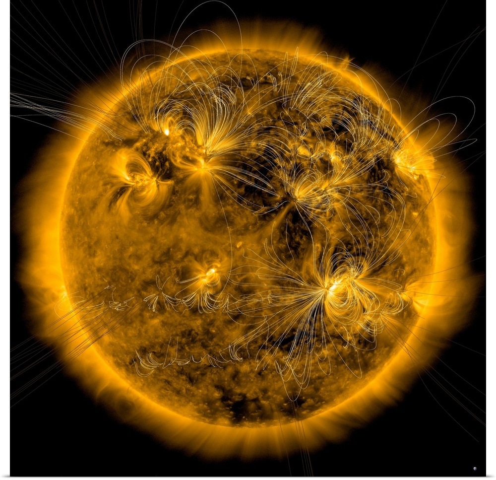 February 17, 2011 - Magnetic field lines on the Sun.