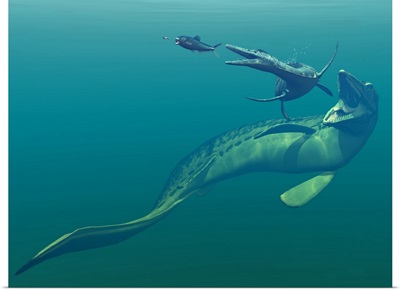 Marine predators of the Cretaceous period