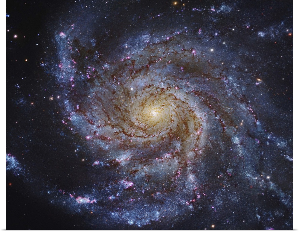 Messier 101, The Pinwheel Galaxy in Ursa Major.