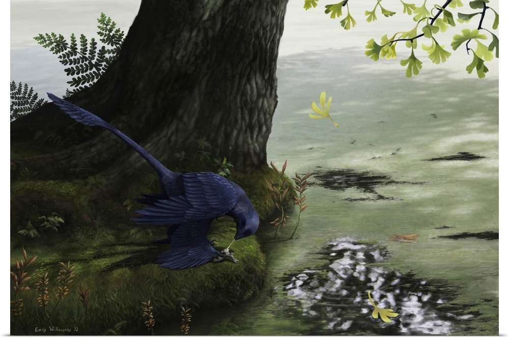 Microraptor gui, a small four-winged dromaeosaur, eating a small fish. ..was recently found in Xing et al 2013 to have pre...