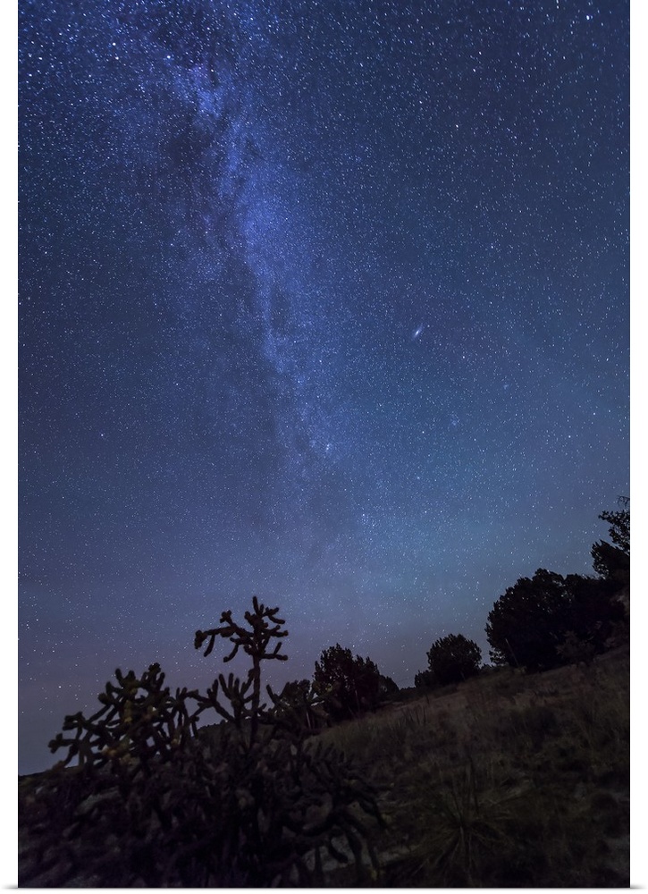 The Milky Way rises over a hill of scrub brush and cacti at the Okie-Tex Star Party near Kenton, Oklahoma.