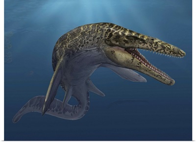 Mosasaurus hoffmanni swimming in prehistoric waters
