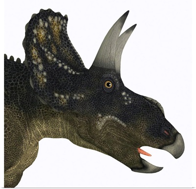 Nedoceratops portrait