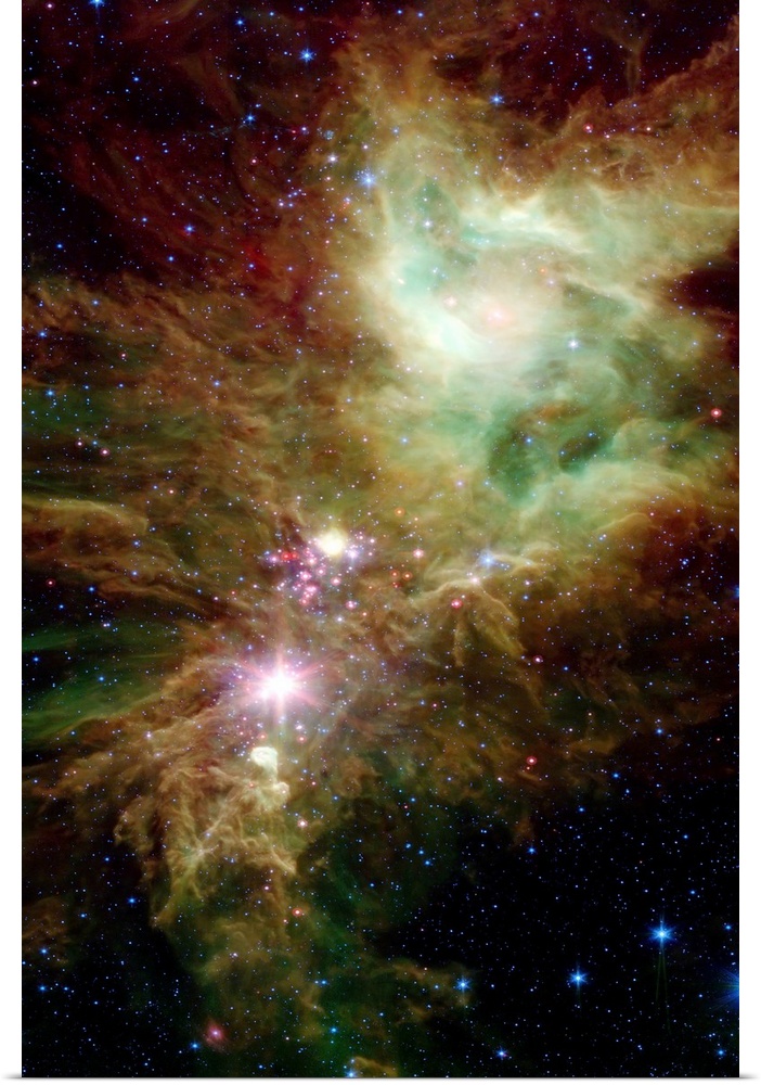 Portrait, large wall picture of many stars in the Christmas Tree cluster.