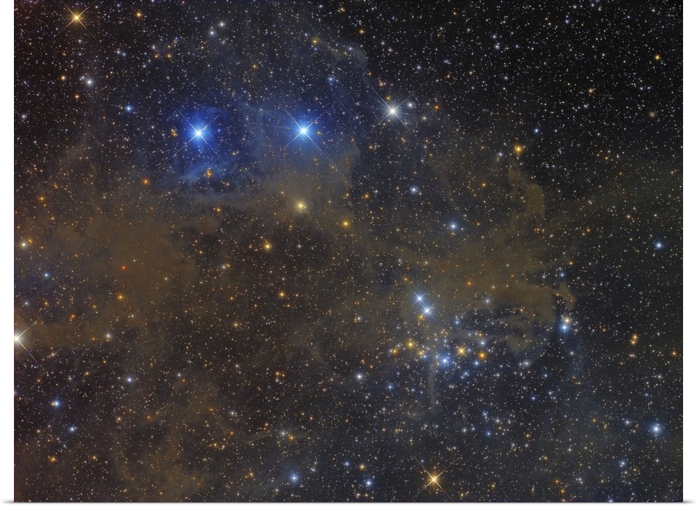 NGC 1342 open cluster in Perseus.
