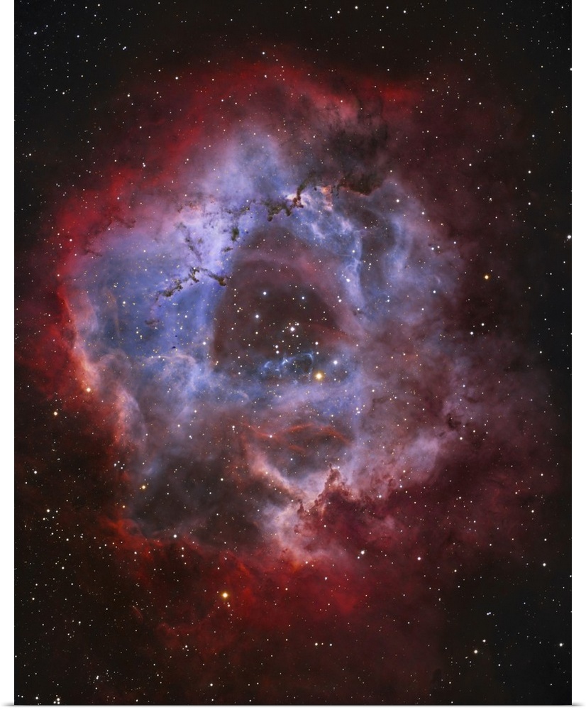 NGC 2237, the Rosette Nebula.