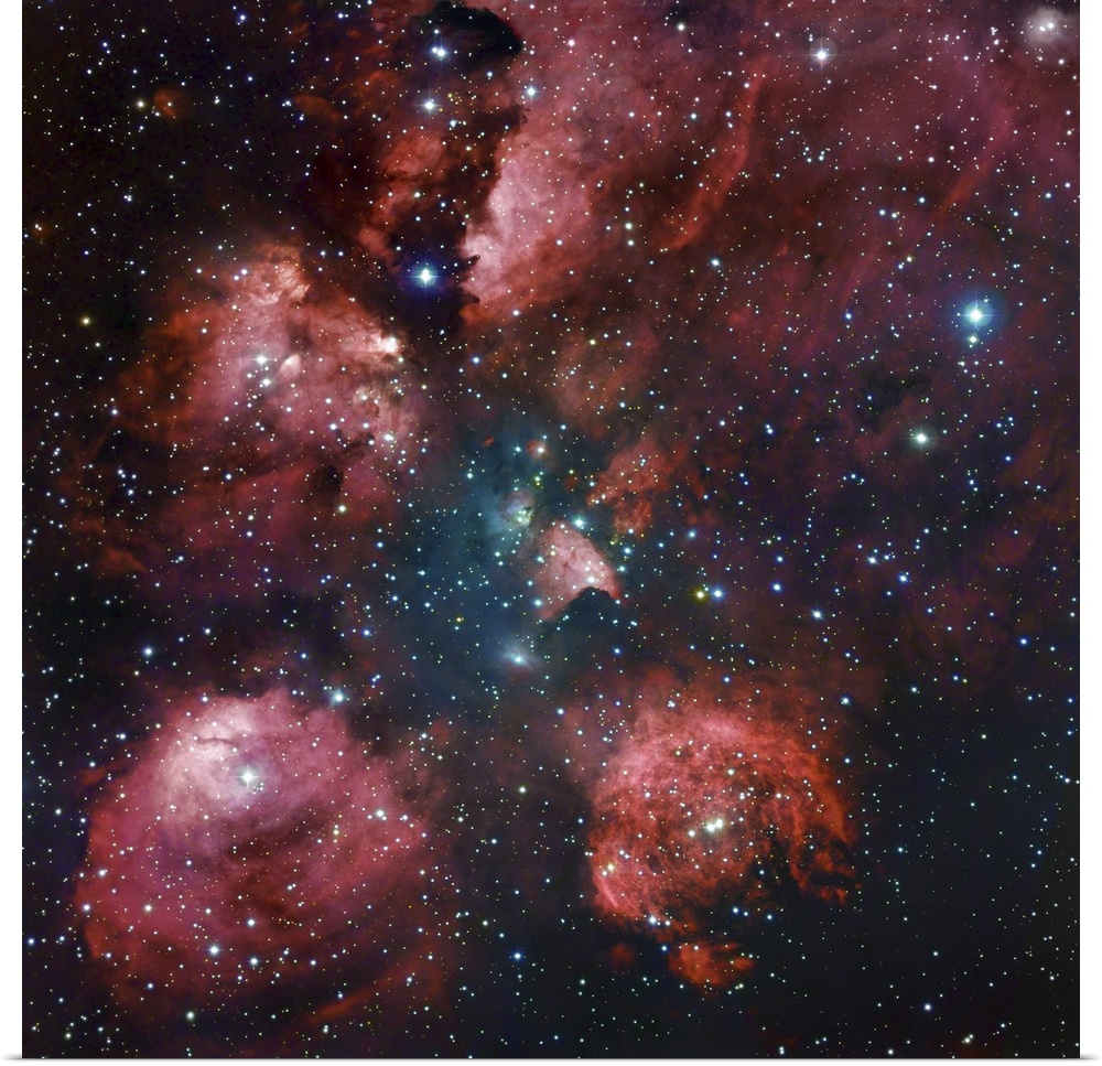 NGC 6334, The Cat's Paw Nebula in Scorpius. Located in the constellation of Scorpius, the Cat's Paw Nebula resembles a fai...