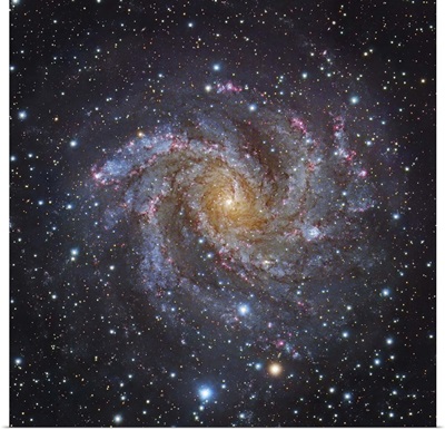 NGC 6946, a spiral galaxy in Cepheus